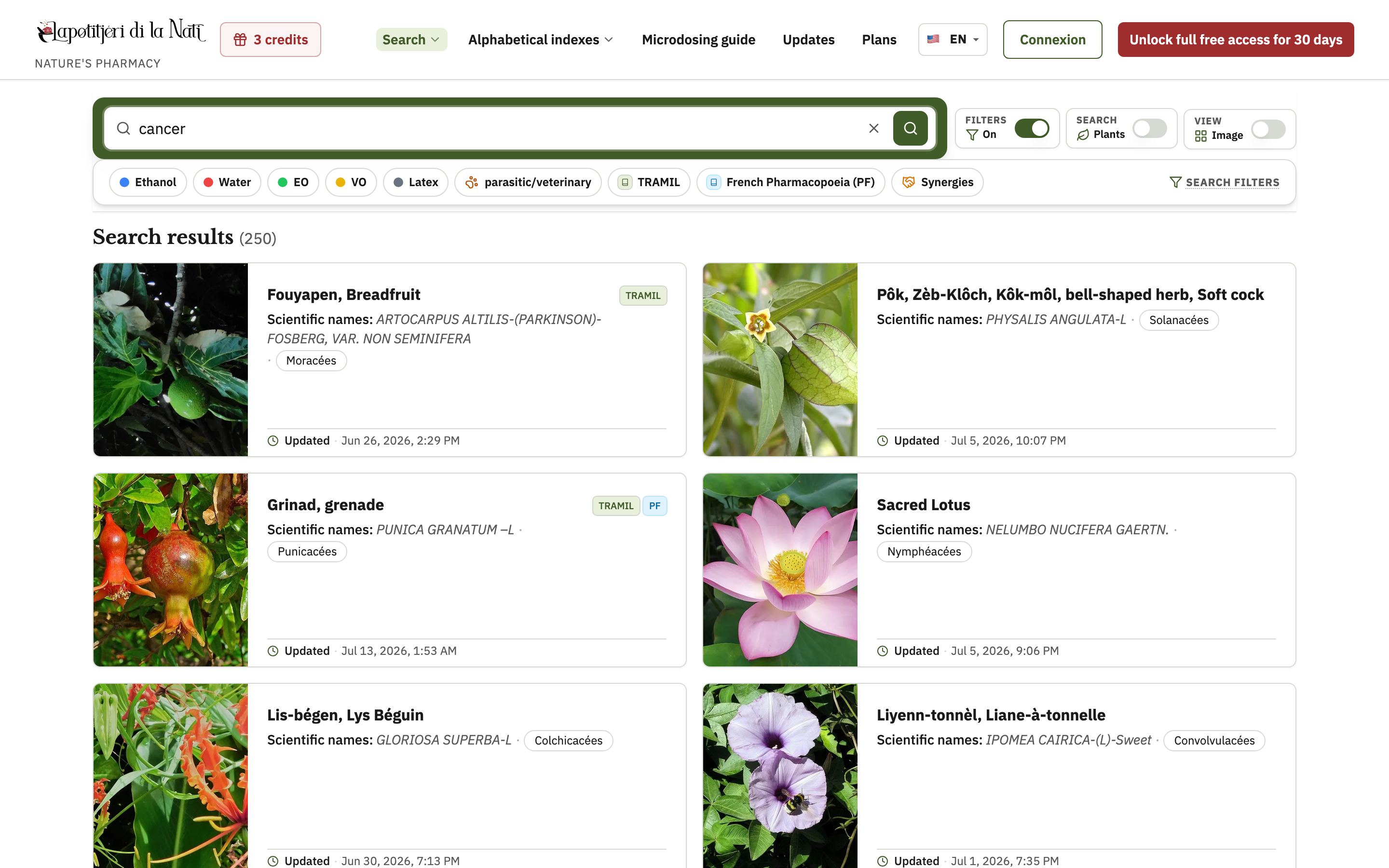 New search: compact bar, filters under the bar, card results